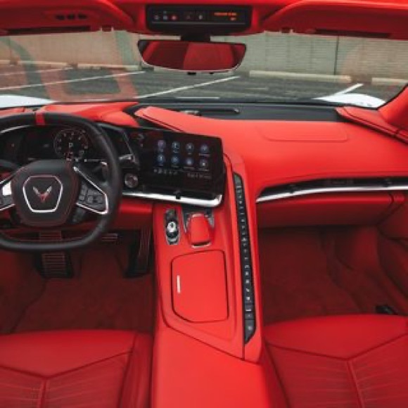 Meet your Posher, Chip - Picture 10 of 11